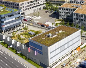 Gondola is a swiss MedTech company for neurological disorders